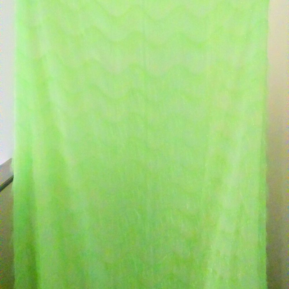 2 PANELS Casual Home Lime Glitter Fringed Curtains